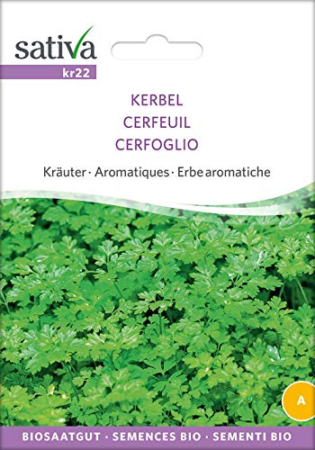 Sativa Rheinau kr22 Kerbel (Bio-Kerbelsamen) von Sativa Rheinau