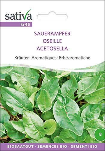 Sativa Rheinau kr45 Sauerampfer (Bio-Ampfersamen) von Sativa Rheinau