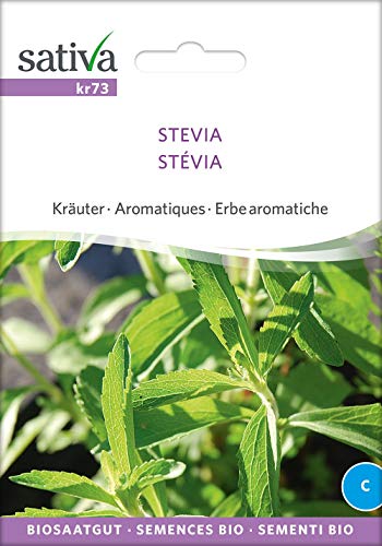 Sativa Rheinau kr73 Stevia (Bio-Steviasamen) von Sativa Rheinau