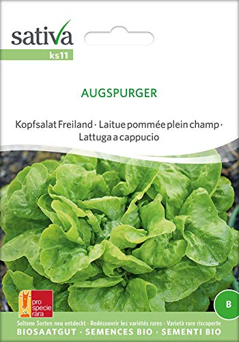 Sativa Rheinau ks11 Kopfsalat Freiland Augspurger (Bio-Salatsamen) von Sativa Rheinau
