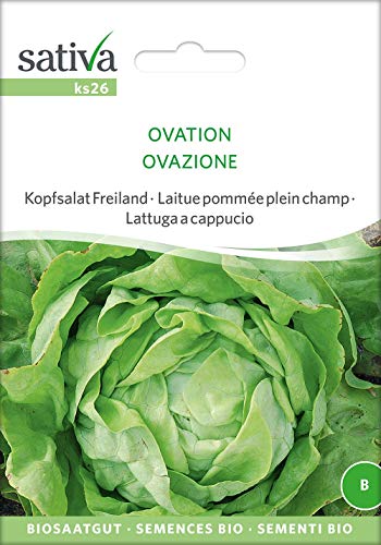 Sativa Rheinau ks26 Kopfsalat Freiland Ovation (Bio-Salatsamen) von Sativa Rheinau