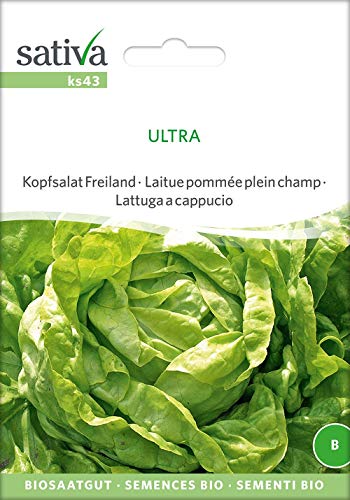 Sativa Rheinau ks43 Kopfsalat Freiland Ultra [MHD 12/2018] (Bio-Salatsamen) von Sativa Rheinau