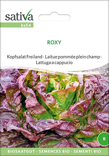 Sativa Rheinau ks54 Kopfsalat Freiland Roxy (Bio-Salatsamen) von Sativa Rheinau