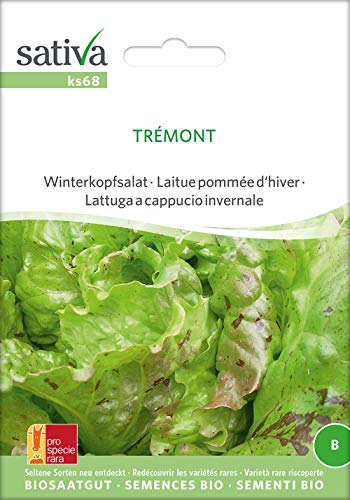 Sativa Rheinau ks68 Winterkopfsalat Trémont (Bio-Salatsamen) von Sativa Rheinau