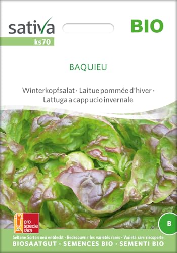 Sativa Rheinau ks70 Winterkopfsalat Baquieu (Bio-Salatsamen) von Sativa Rheinau