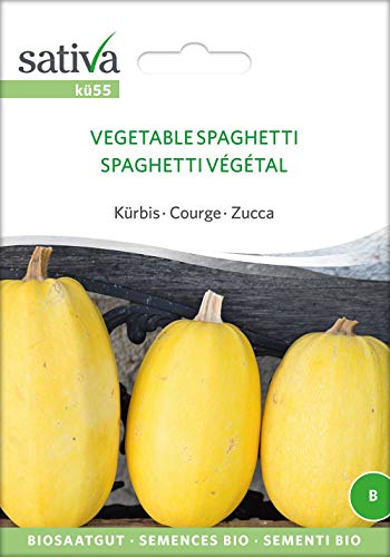 Sativa Rheinau kü55 Kürbis Vegetable Spaghetti (Bio-Kürbissamen) von Sativa Rheinau