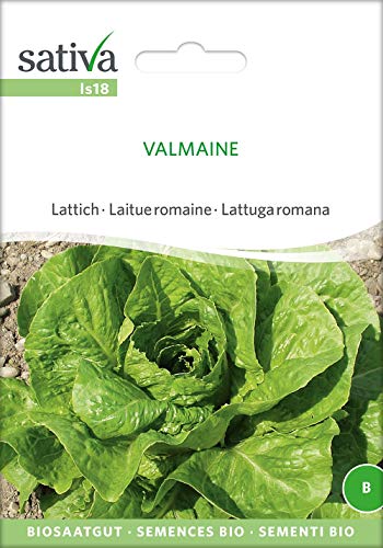 Sativa Rheinau ls18 Lattich Valmaine (Bio-Salatsamen) von Sativa Rheinau