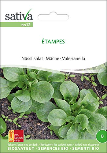 Sativa Rheinau ns12 Nüsslisalat Étampes (Bio-Salatsamen) von Sativa Rheinau