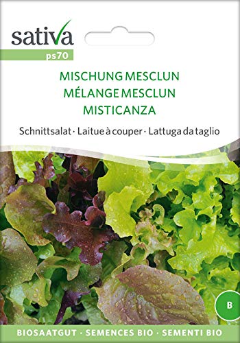 Sativa Rheinau ps70 Schnittsalat Mischung Mesclun (Bio-Salatsamen) von Sativa Rheinau