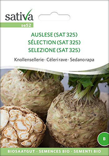Sativa Rheinau se52 Knollensellerie Auslese (SAT 325) (Bio-Knollenselleriesamen) von Sativa Rheinau