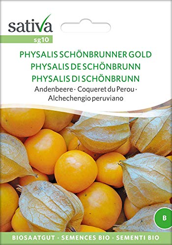 Sativa Rheinau sg10 Andenbeere Physalis Schönbrunner Gold (Bio-Andenbeerensamen) von Sativa Rheinau