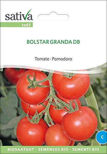 Sativa Rheinau to61 Tomate Bolstar Granda (Bio-Tomatensamen) von Sativa Rheinau