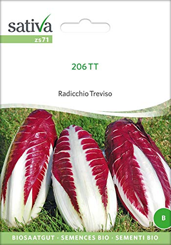 Sativa Rheinau zs71 Treviso 206 Tt (Bio-Salatsamen) von Sativa Rheinau