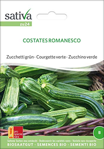 Sativa Rheinau zu24 Zucchini Costates Romanesco (Bio-Zucchinisamen) von Sativa Rheinau