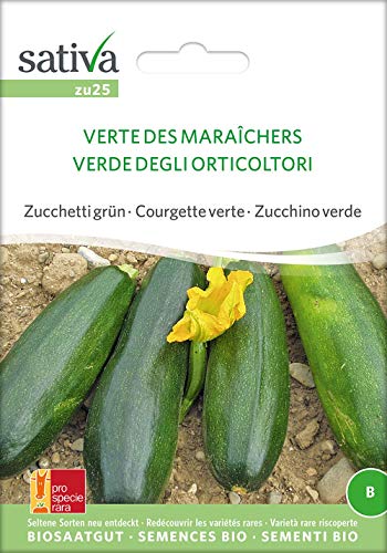 Sativa Rheinau zu25 Zucchini Verte Des Maraîchers (Bio-Zucchinisamen) von Sativa Rheinau