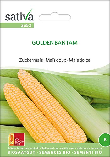 Sativa Rheinau zu52 Zuckermais Golden Bantam (Bio-Maissamen) von Sativa Rheinau