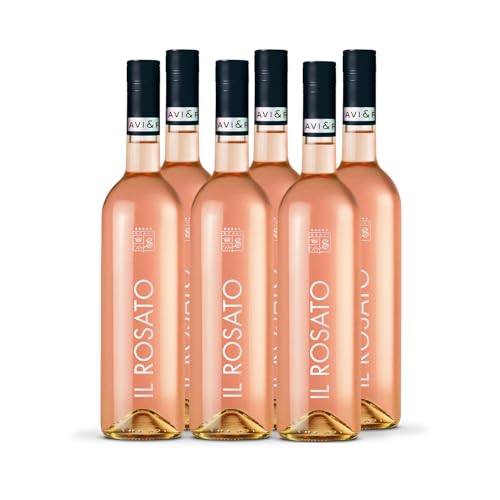 SCAVI & RAY IL Rosato – 6 x 0,75L Glasflaschen 12% Vol. – Trockener Roséwein aus Italien – Fruchtig, beerig & elegant – Perfekt für leichte Gerichte & sommerliche Anlässe von Scavi & Ray