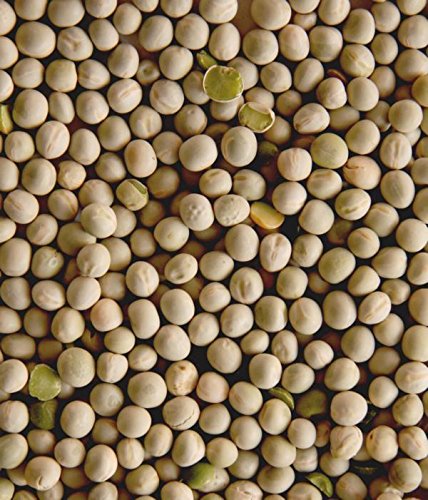 Scharnebecker Mühle Erbsen grün 25kg von Jlwiy