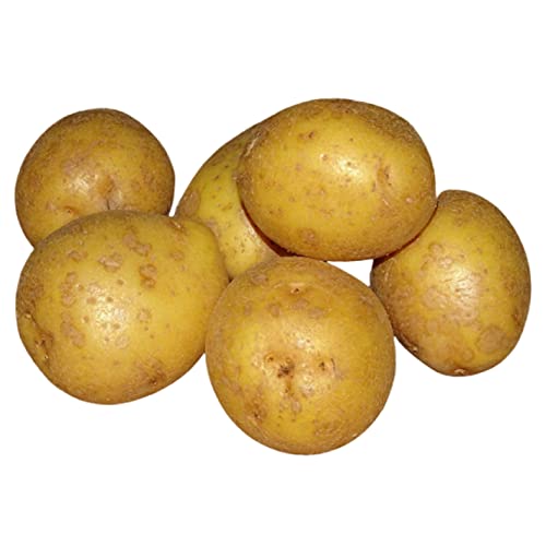 Kartoffeln zum Grillen 15 Stück je ca. 350-450 Gramm | Riesenkartoffeln | XXL Griller Naturo | Folienkartoffeln | Bio Kartoffeln | Ofenkartoffel | Aus Deutschland von Schleuderhannes.