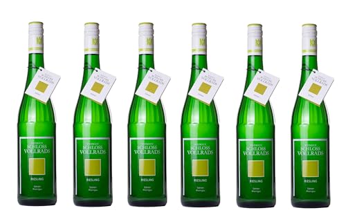 6x 0,75l - Schloss Vollrads - Edition - Riesling feinherb - VDP.Gutswein - Qualitätswein Rheingau - Deutschland - Weißwein halbtrocken von Schloss Vollrads