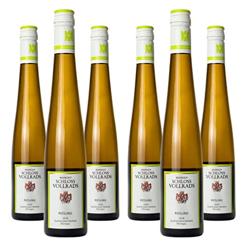 SCHLOSS VOLLRADS - Weingut Schloss Vollrads Riesling Qualitätswein feinherb VDP.GUTSWEIN, 2021, 6x0.375l von Schloss Vollrads