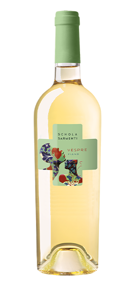 "Vespre" Fiano Salento IGT 2023 "Vespre" Fiano Salento IGT 2023 von Schola Sarmenti