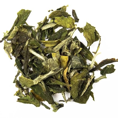 Schrader | Grüner Tee China Snow Buds | Bio | milder Grüntee | mit fruchtiger Note | 100g von Schrader