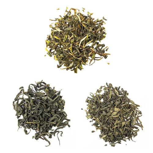Schrader | Grüner Tee | aus China | Grünteevielfalt-Sortiment | Bio | 3 x 100g von Schrader