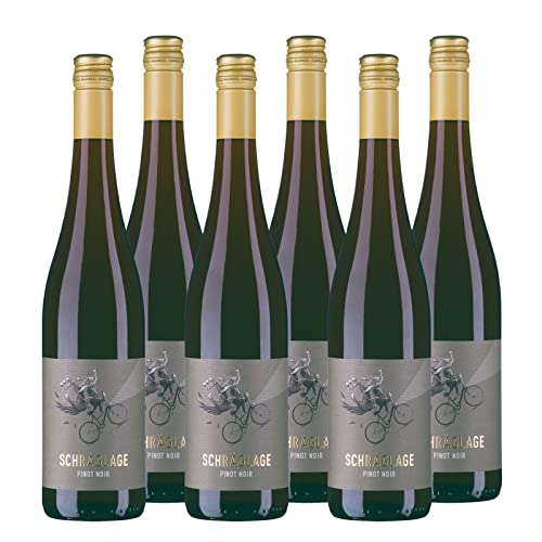 Schräglage Pinot Noir QbA trocken Rotwein Pfalz trocken (6 x 0.75l) von Schräglage