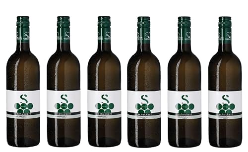 6x 0,75l - 2022er - Schuckert - Grüner Veltliner - Classic - Weinviertel DAC - Österreich - Weißwein trocken von Schuckert