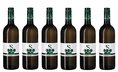 6x 0,75l - 2023er - Schuckert - Grüner Veltliner - Classic - Weinviertel DAC - Österreich - Weißwein trocken 6x 0,75l - 2023er - Schuckert - Grüner Veltliner - Classic - Weinviertel DAC - Österreich - Weißwein trocken von Schuckert