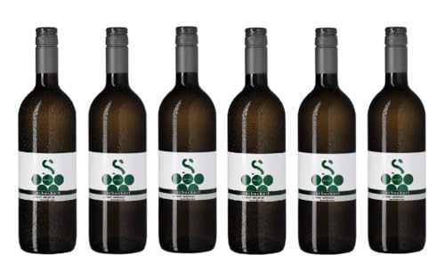 6x 0,75l - 2023er - Schuckert - Grüner Veltliner - Ried Nestelbecher - Weinviertel DAC - Österreich - Weißwein trocken 6x 0,75l - 2023er - Schuckert - Grüner Veltliner - Ried Nestelbecher - Weinviertel DAC - Österreich - Weißwein trocken von Schuckert