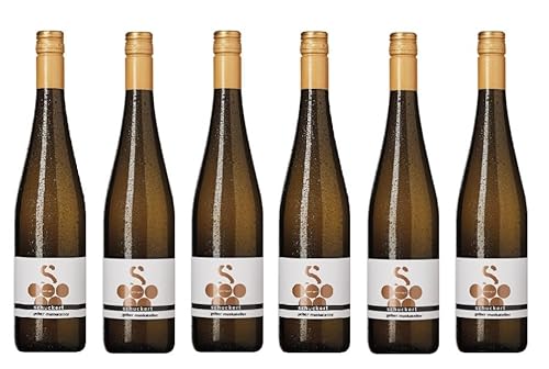 6x 0,75l - 2023er - Schuckert - Gelber Muskateller - Ried Steinberg - Niederösterreich - Österreich - Weißwein trocken von Schuckert