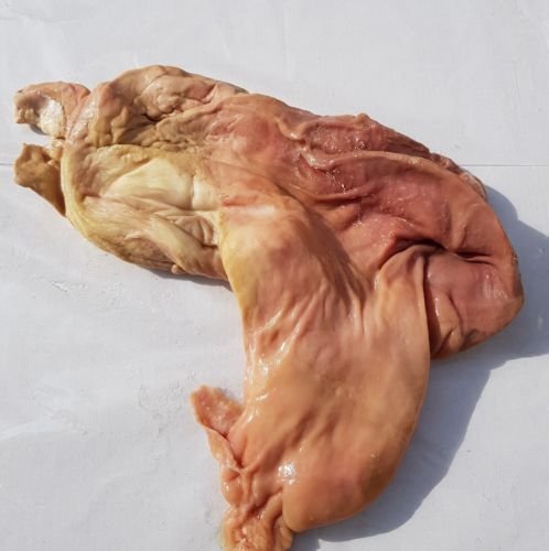 Schweinemagen frisch gesalzen Top Qualität | wurstmacher-shop by trümper HALLENDO® von HALLENDO
