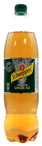 Schweppes American Ginger Ale, 12er Pack (12 x 1,25 l) EINWEG von Schweppes