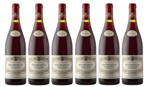 6x 0,75l - 2023er - Seguin-Manuel - Pinot Noir - Bourgogne A.O.P. - Burgund - Frankreich - Rotwein trocken von Seguin-Manuel
