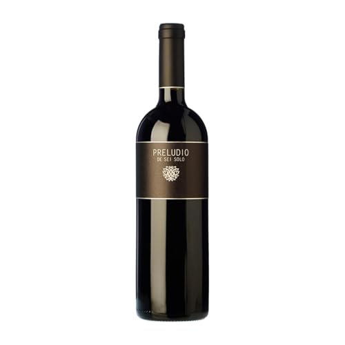 Sei Solo Preludio Tempranillo Ribera del Duero Reserve 75 cl Rotwein Sei Solo Preludio Tempranillo Ribera del Duero Reserve 75 cl Rotwein von Sei Solo Bodegas y Viñedos