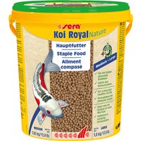 sera Koi Royal medium Granulat - 21 Liter von Sera