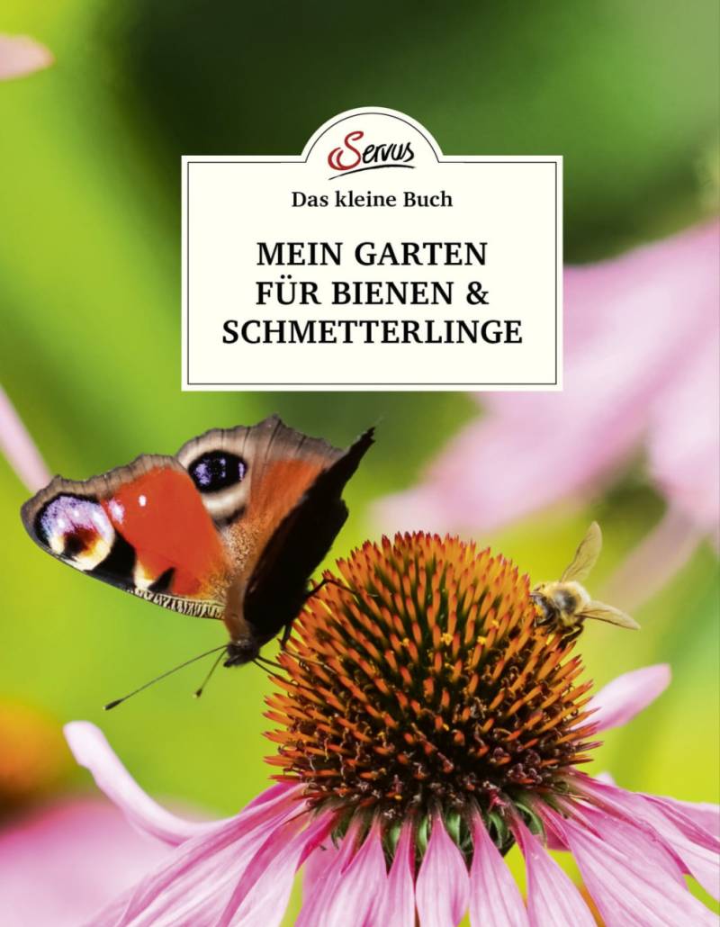 Das kleine Buch: Mein Garten fu?r Bienen & Schmetterlinge von Servus Verlag