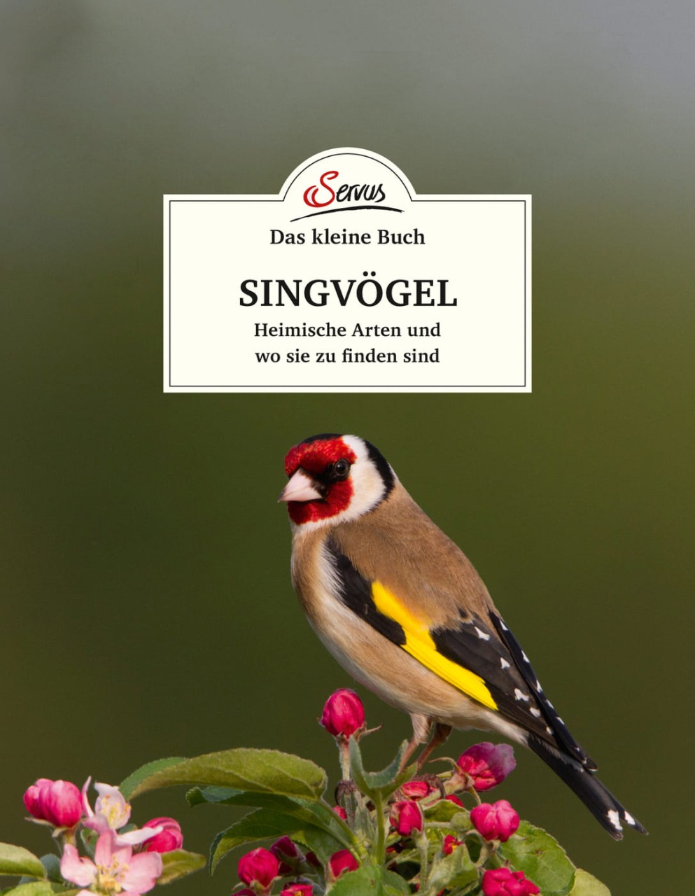Das kleine Buch: Singvögel Das kleine Buch: Singvögel von Servus Verlag