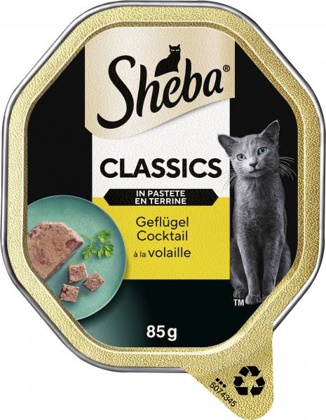 Sheba Classics in Pastete mit Geflügel Cocktail von Sheba