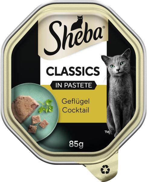 Sheba Classics in Pastete Geflügel Cocktail von Sheba