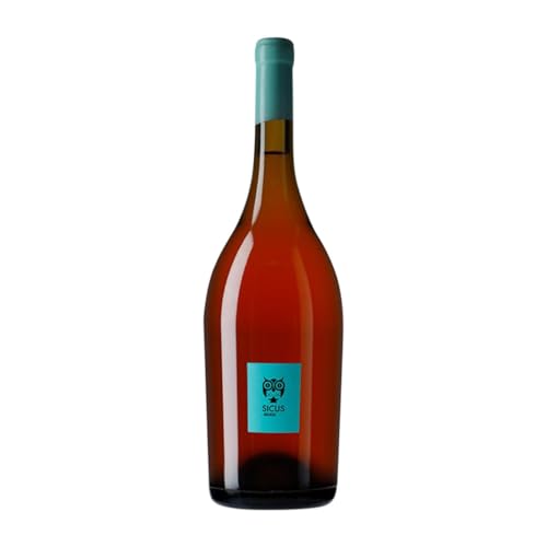 Sicus Àmfora Malvasía de Sitges Penedès Magnum-Flasche 1,5 L Weißwein Sicus Àmfora Malvasía de Sitges Penedès Magnum-Flasche 1,5 L Weißwein von Sicus Celler