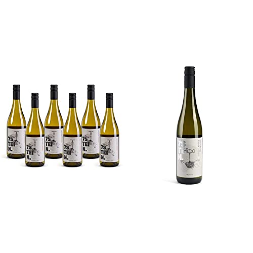 7STEIN Grauburgunder – auch bekannt als Pinot Gris oder Pinot Grigio – ein Qualitätswein, Weißwein aus Rheinhessen, Deutschland (6 x 0.75 l) & 7STEIN Riesling Hochgewächs – ein Qualitätswein (1x0.75l) von Siebenstein
