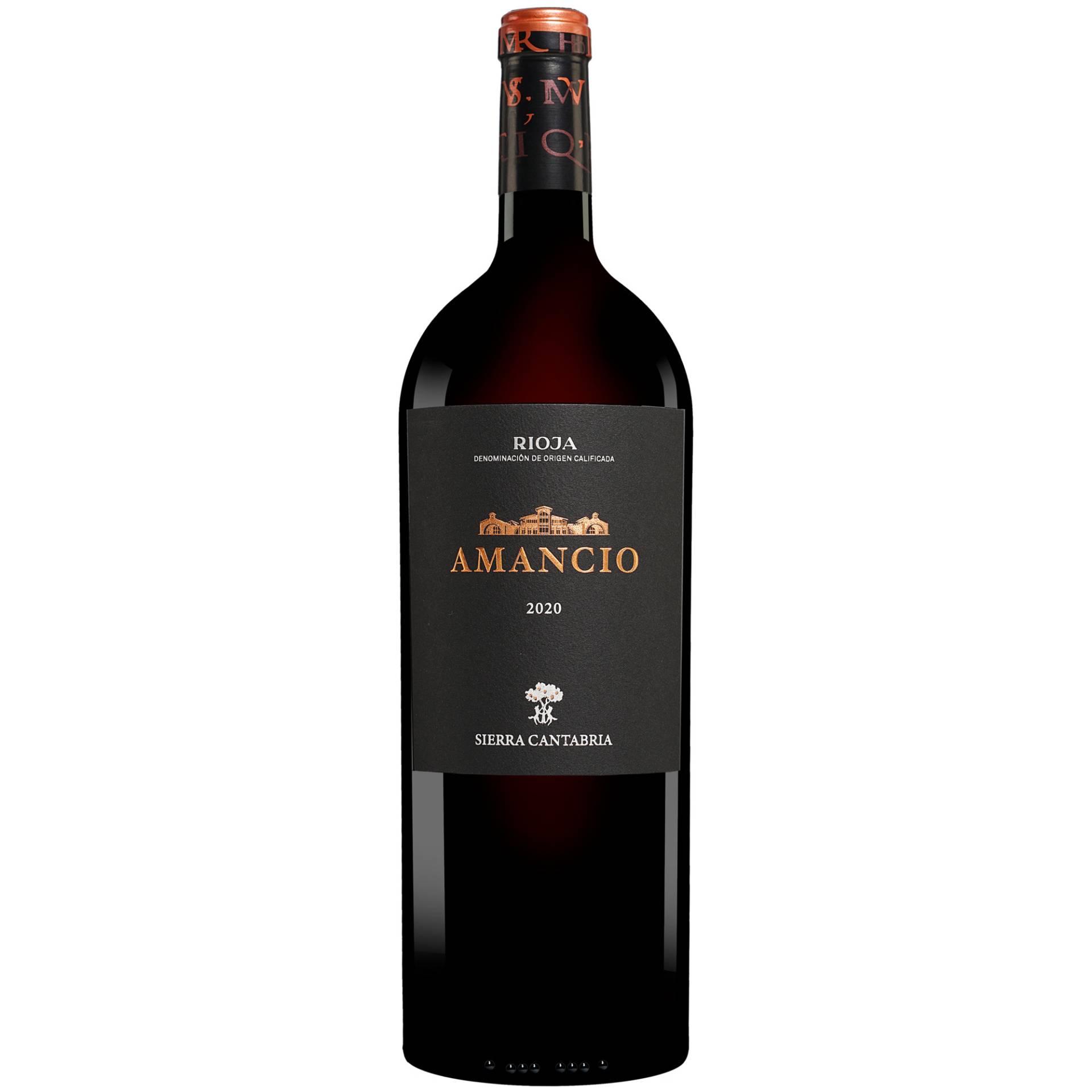 Amancio - 1,5 L. Magnum 2020  1.5L 14.5% Vol. Rotwein Trocken aus Spanien von Sierra Cantabria