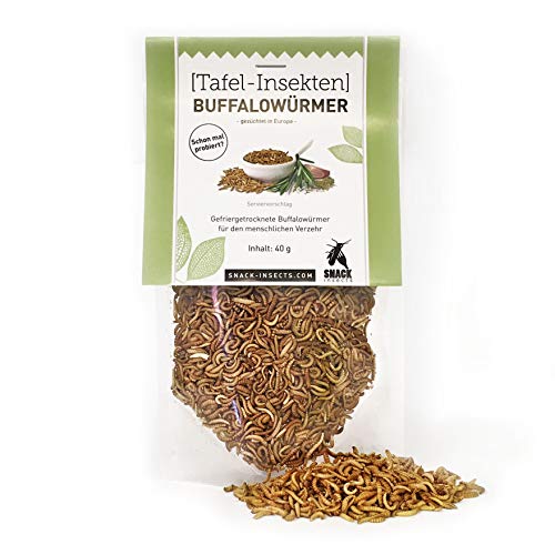 Buffalowürmer - essbare Insekten von 'Snack Insects' - 40g feine Speise-Insekten zum Kochen und Essen von SNACK insects