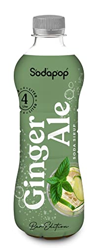 Sodapop Sirup Ginger Ale, Bar Edition, schnell & einfach zubereitet, 1 Flasche ergibt 4 L Fertiggetränk, 500 ml von Sodapop