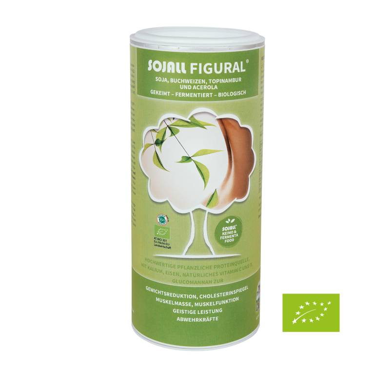 Sojall Figural 300 g Bio - Gekeimter und fermentierter Soja und gekeimter Buchweizen - Vegan - Sojall Pro Natura von Sojall Pro Natura