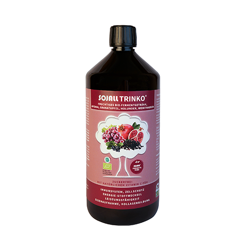 Sojall Trinko 500 ml in Bioqualität - Fermentgetränk mit Milchsäure und verschiedenen Säften -Vegan -  Sojall Pro Natura von Sojall Pro Natura