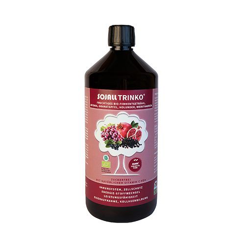 Sojall Trinko 500 ml in Bioqualität - Fermentgetränk mit Milchsäure und verschiedenen Säften -Vegan - Sojall Pro Natura Sojall Trinko 500 ml in Bioqualität - Fermentgetränk mit Milchsäure und verschiedenen Säften -Vegan - Sojall Pro Natura von Sojall Pro Natura